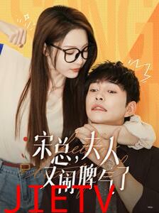 宋总，夫人又闹脾气了