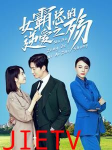 女霸总的逆爱之殇