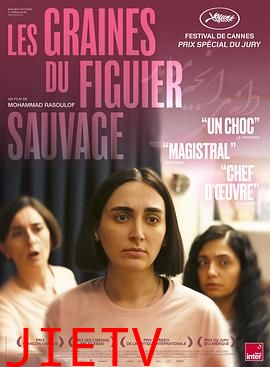 神圣无花果之种