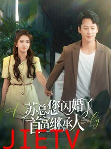 苏总您闪婚了首富继承人