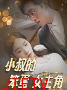 小叔的笨蛋女主角