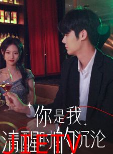 你是我清醒时的沉沦