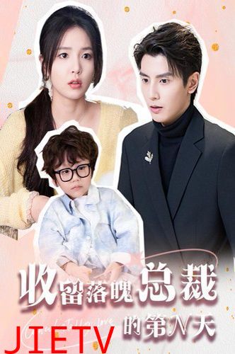 收留落魄总裁的第N天