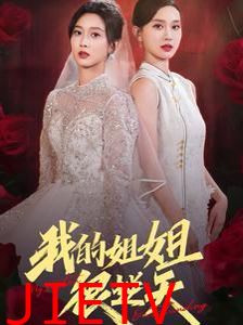 我的姐姐很逆天