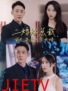 二婚嫁总裁前夫哥竟成了女婿