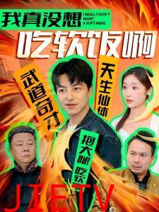 我真没想吃软饭啊