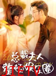 总裁夫人整顿娱乐圈