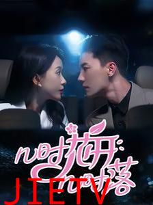 几时花开几时落