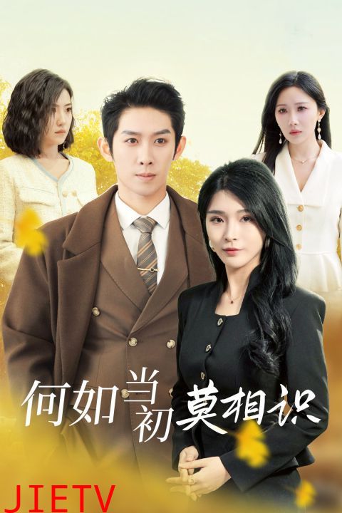 何如当初莫相识