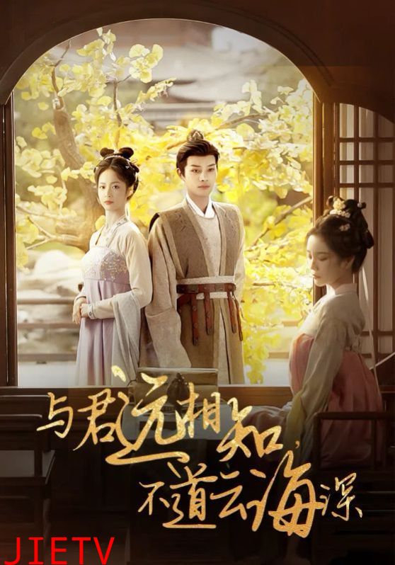 与君远相知，不道云海深