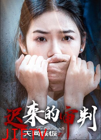 天网恢恢之迟来的审判