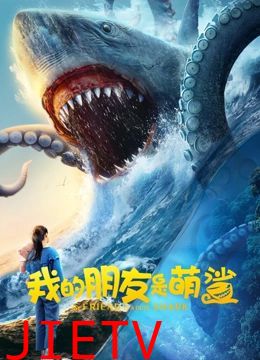 我的朋友是萌鲨