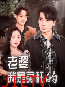 老婆我是冤枉的