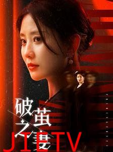 破茧之妻（婚姻的救赎）