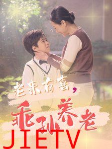 老来有喜乖孙养老