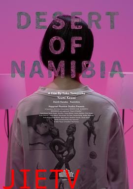 纳米比亚的沙漠