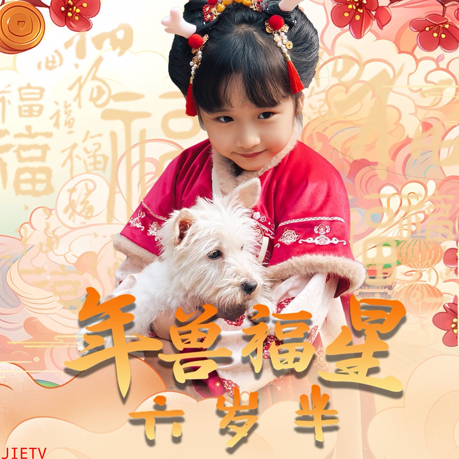 年兽福星六岁半