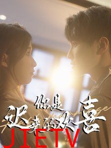 你是迟来的欢喜2025