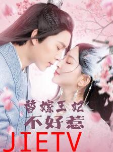 替嫁王妃不好惹