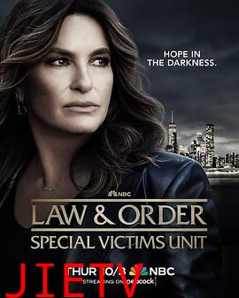 法律与秩序:特殊受害者第二十六季