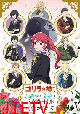 受到猩猩之神庇护的大小姐在皇家骑士团受到宠爱