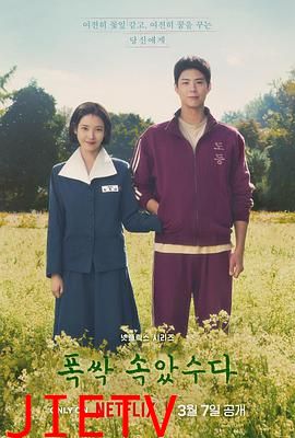 苦尽柑来遇见你