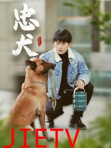 忠犬（短剧版）