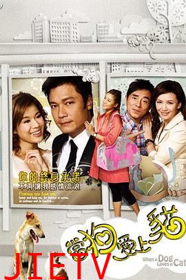 当狗爱上猫国语