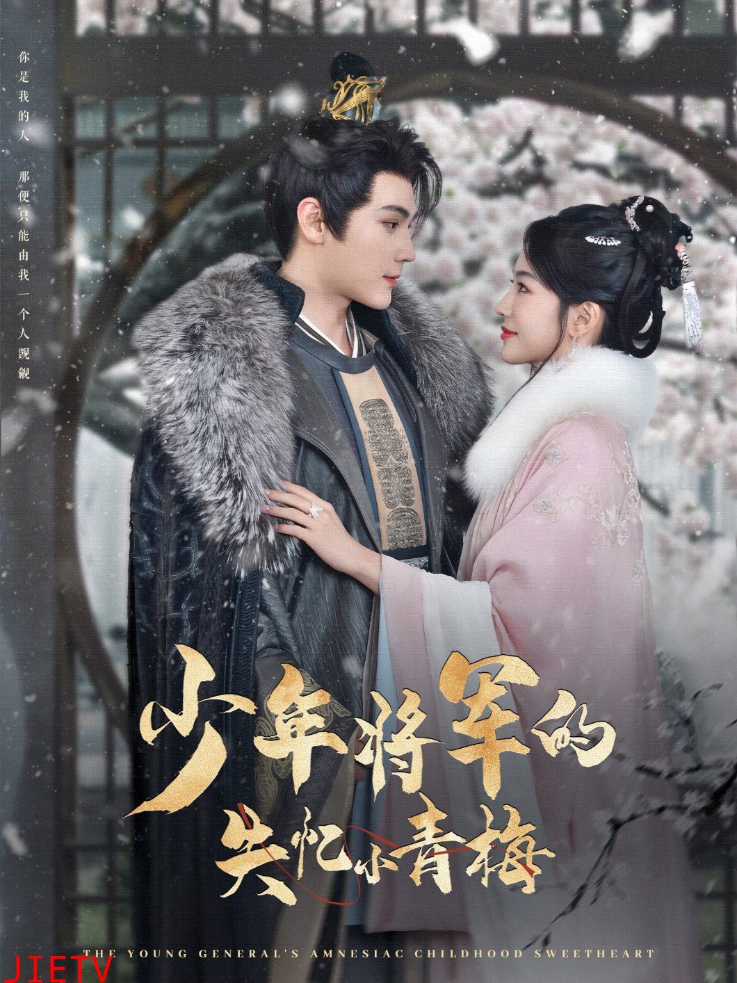 少年将军的失忆小青梅