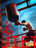 我是拳手