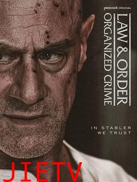 法律与秩序:组织犯罪 第五季