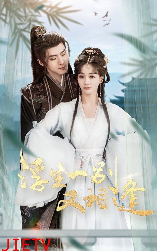 浮生一别又相逢