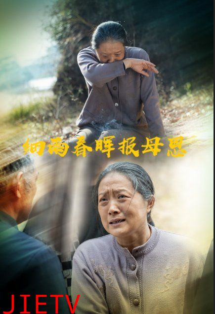细雨春晖报母恩