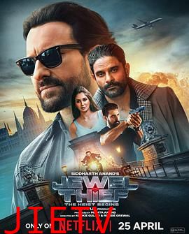 珠宝大盗:神偷出马