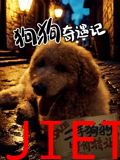 狗狗奇遇记