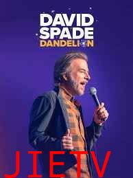 大卫斯佩德:蒲公英