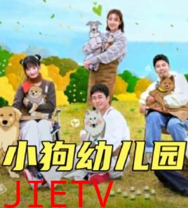 小狗幼儿园