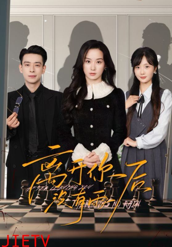 离开你后没有雨