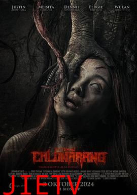 候选人阿兰的诅咒