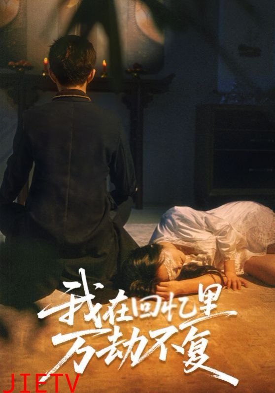 我在回忆里万劫不复