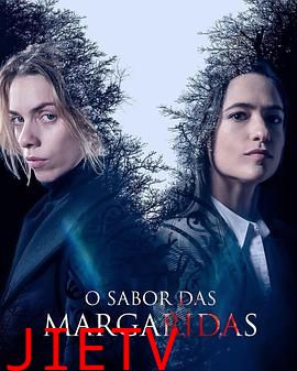 苦味雏菊第二季