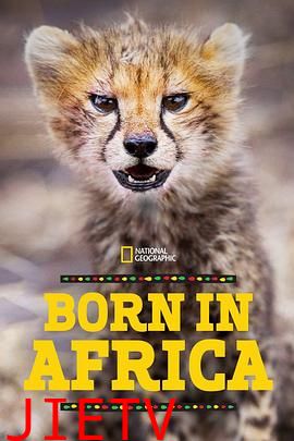 非洲原野育成记