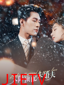 天降顶配未婚夫