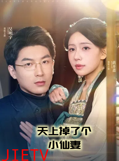天上掉了个小仙妻