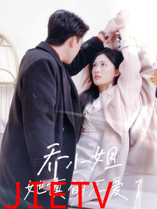 乔小姐她真的不爱了