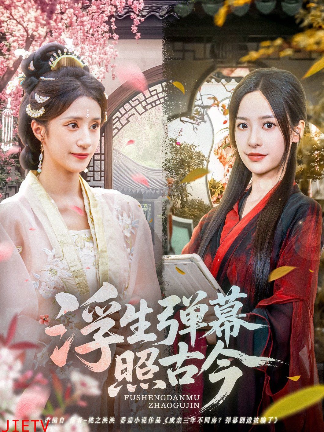 浮生弹幕照古今