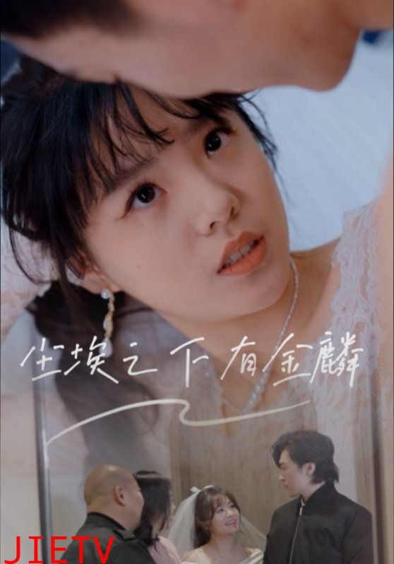 尘埃之下有金鳞