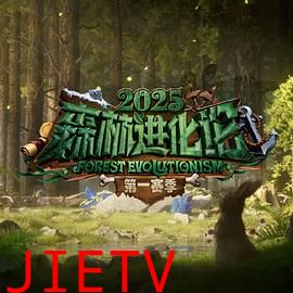 森林进化论2025