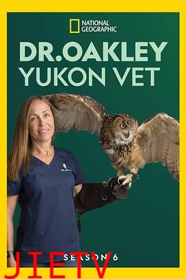 育空兽医第六季