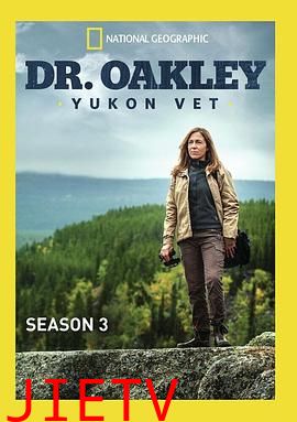 育空兽医第三季